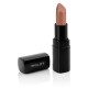 LipSatin Lipstick (PROMISES) 342