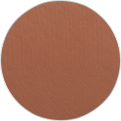 Freedom System Perfect Finish Pressed Powder